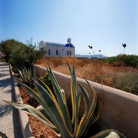 Kalypso ناوسا